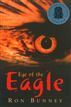 Eye of the Eagle