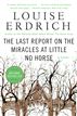 The Last Report on the Miracles at Little No Horse
