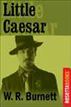 Little Caesar