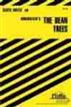 Kingsolver's <i>The Bean Trees</i>