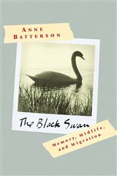 The Black Swan