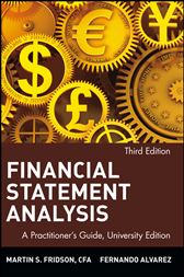 Financial Statement Analysis