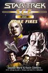 Star Trek S.C.E. #25: Home Fires