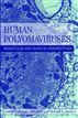 Human Polyomaviruses