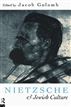Nietzsche and Jewish Culture