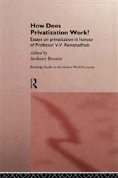 How Does Privatization Work?