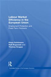 Labour Market Efficiency in the European Union