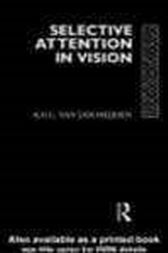 Selective Attention in Vision