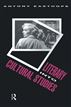 Literary into Cultural Studies