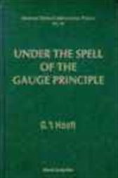 Under The Spell Of The Gauge Principle