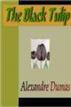 The Black Tulip
