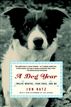 A Dog Year