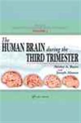 Human Brain During the Third Trimester