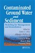Contaminated Ground Water and Sediment: Modeling for Management and Remediation