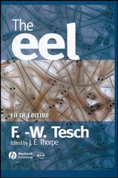 The Eel