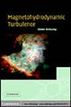 Magnetohydrodynamic Turbulence