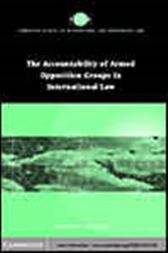 Accountability of Armed Opposition Groups in International Law