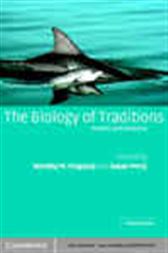 The Biology of Traditions