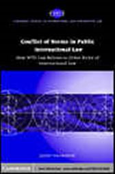 Conflict of Norms in Public International Law