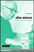 After Adorno
