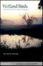 Wetland Birds