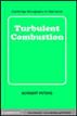Turbulent Combustion