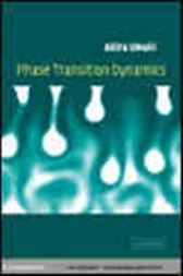 Phase Transition Dynamics
