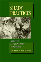 Shady Practices