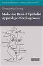 Molecular Basis of Epithelial Appendage Morphogenesis