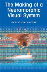 The Making of a Neuromorphic Visual System