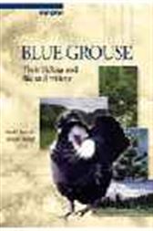 Blue Grouse