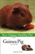 Guinea Pig