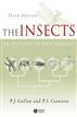 The Insects