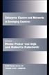 Enterprise Clusters and Networks in Developing Countries