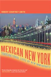 Mexican New York