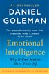 Emotional Intelligence
