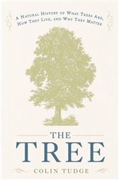 The Tree