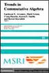 Trends in Commutative Algebra