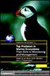 Top Predators in Marine Ecosystems