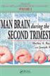 The Human Brain During the Second Trimester