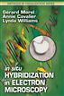 In Situ Hybridization in Electron Microscopy