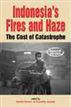 Indonesia's Fires and Haze