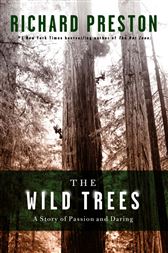 The Wild Trees
