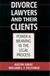 Divorce Lawyers and Their Clients