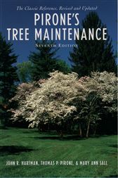 Pirone's Tree Maintenance