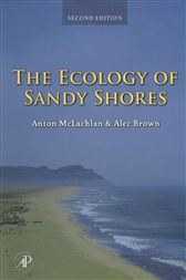 The Ecology of Sandy Shores