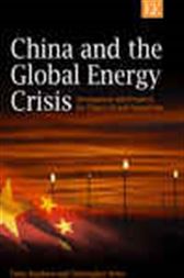 China and the Global Energy Crisis