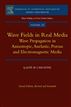 Wave Fields in Real Media