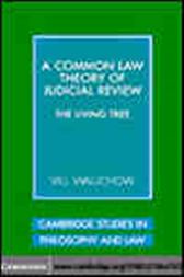 A Common Law Theory of Judicial Review