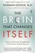 The Brain That Changes Itself